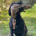 Matilda